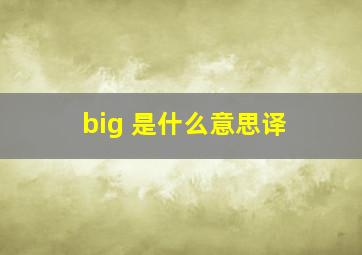 big 是什么意思译